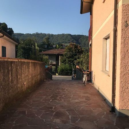Villa Ester Camaiore Εξωτερικό φωτογραφία