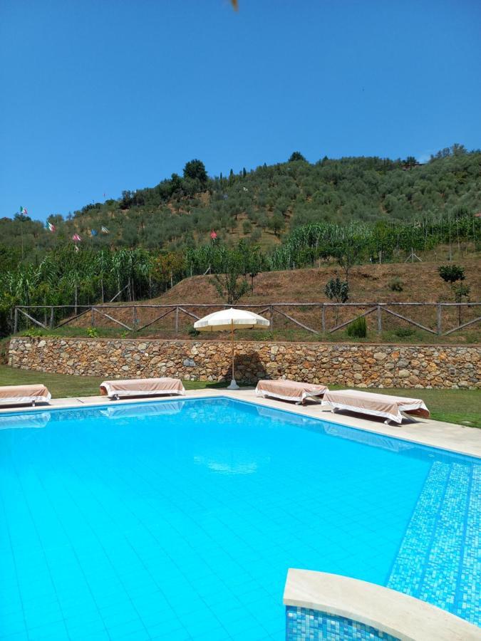 Villa Ester Camaiore Εξωτερικό φωτογραφία
