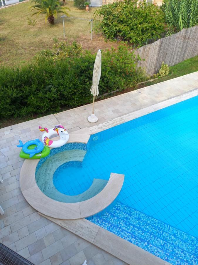 Villa Ester Camaiore Εξωτερικό φωτογραφία
