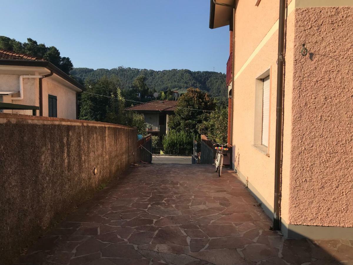 Villa Ester Camaiore Εξωτερικό φωτογραφία